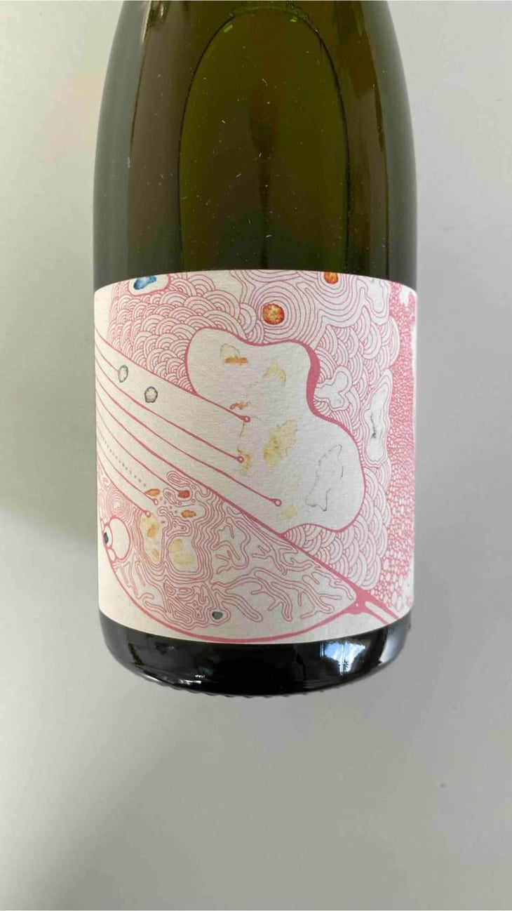 Nébuleuse Aligoté X Julien Altaber - Sextant - Vin des Potes - Basile Passe 