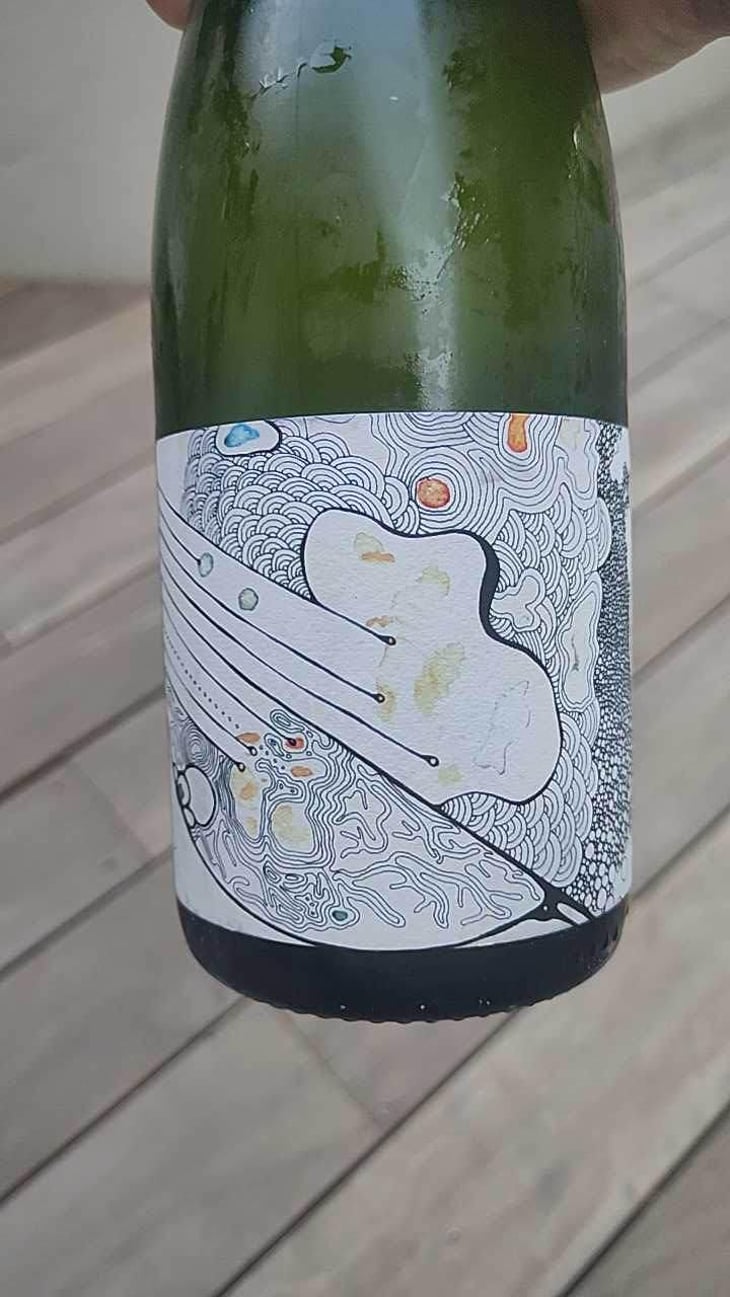 Nébuleuse Aligoté X Julien Altaber - Sextant - Vin des Potes - Basile Passe 