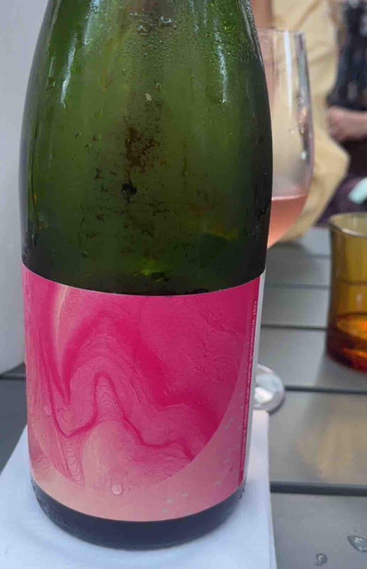 Nébuleuse Gamay X Julien Altaber - Sextant - Vin des Potes - Basile Passe 