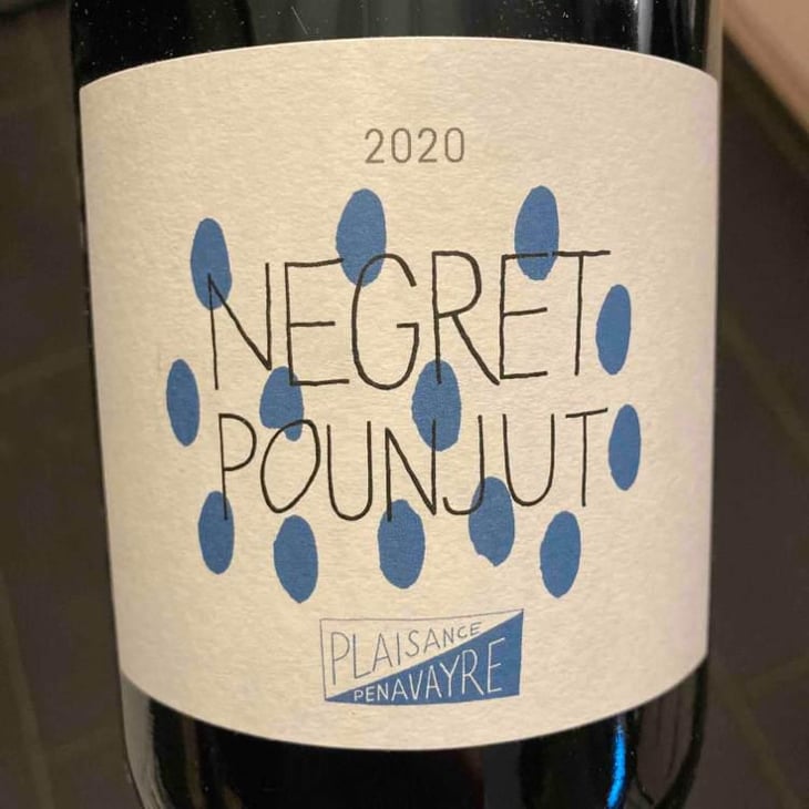Negret Pounjut - Domaine Plaisance - Penavayre - Louis, Marc et Thibaut Penavayre 
