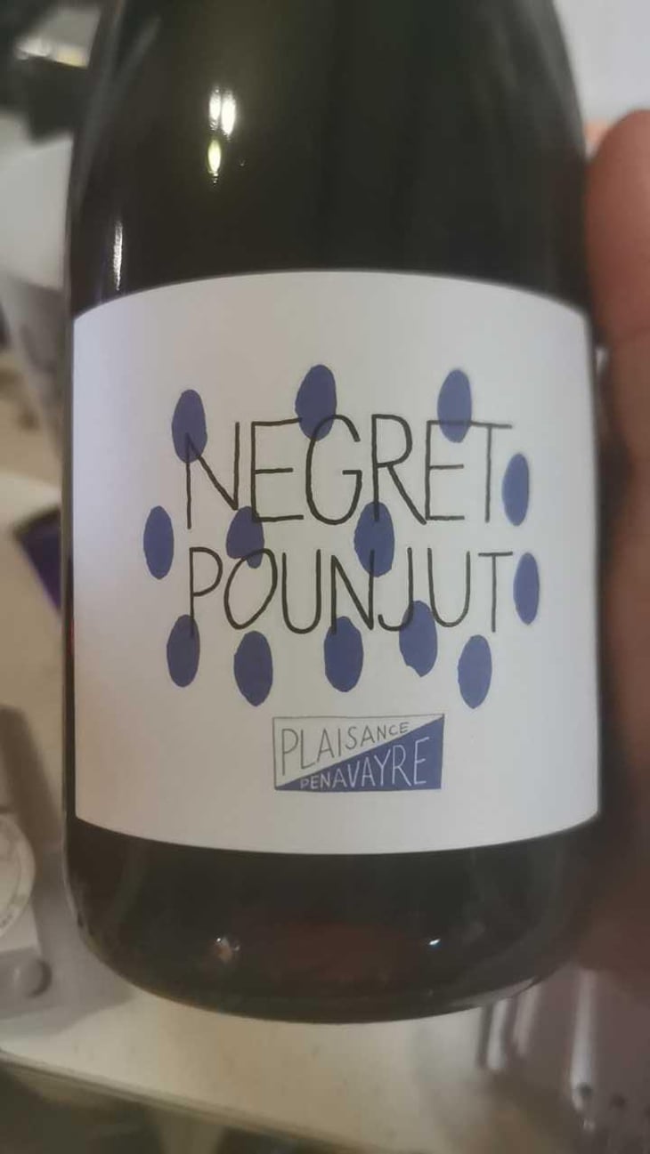 Negret Pounjut - Domaine Plaisance - Penavayre - Louis, Marc et Thibaut Penavayre 