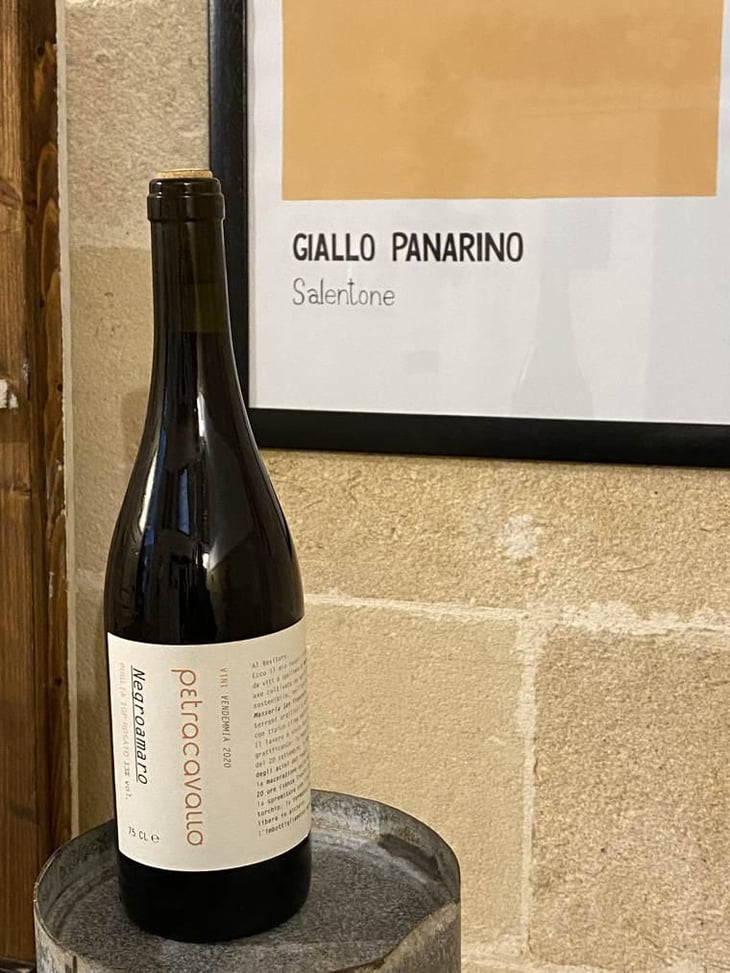 Negroamaro - Vini Petracavallo - Vito D'Onghia 
