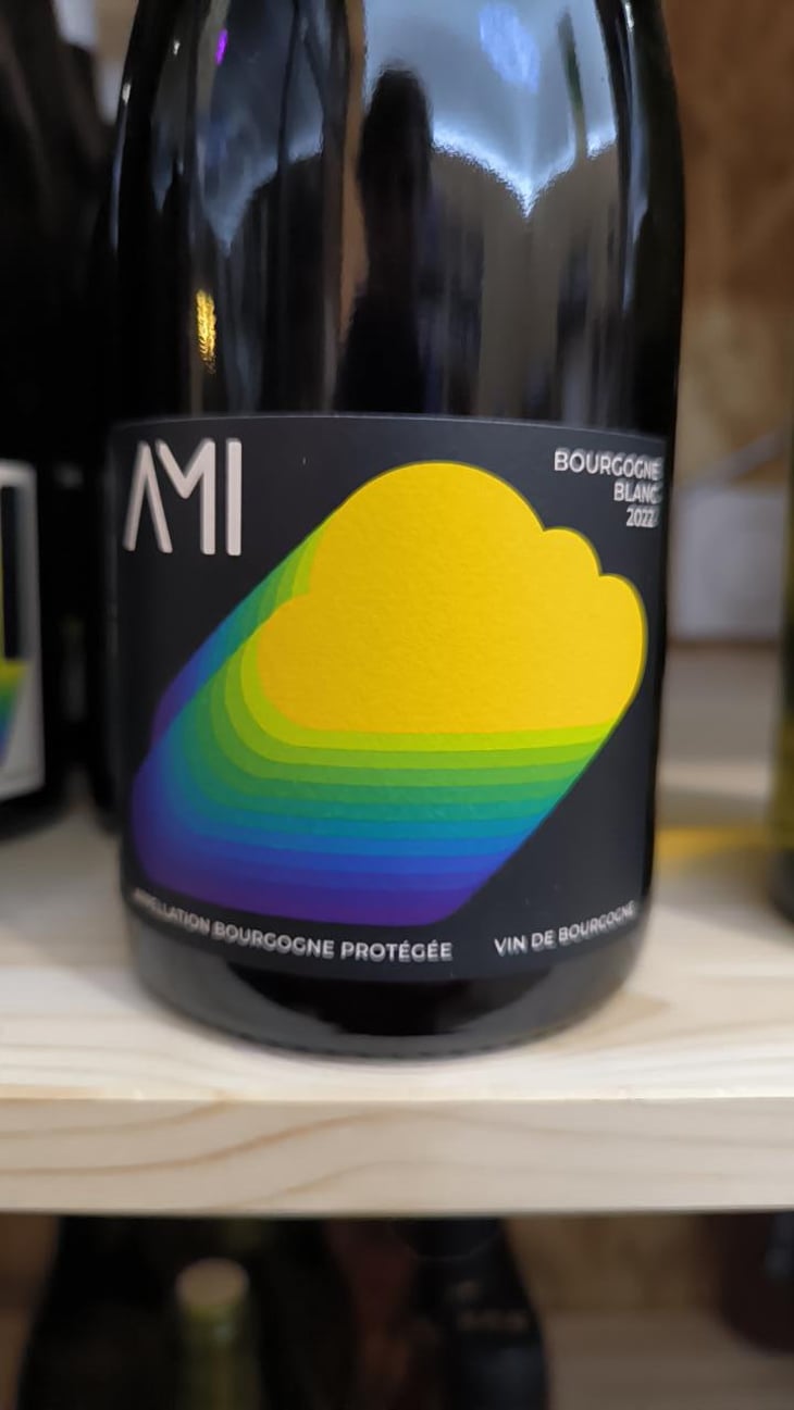 Neige de printemps - Domaine Ami - Paul Marchand-Perarnau & Willy Roulendes -2022