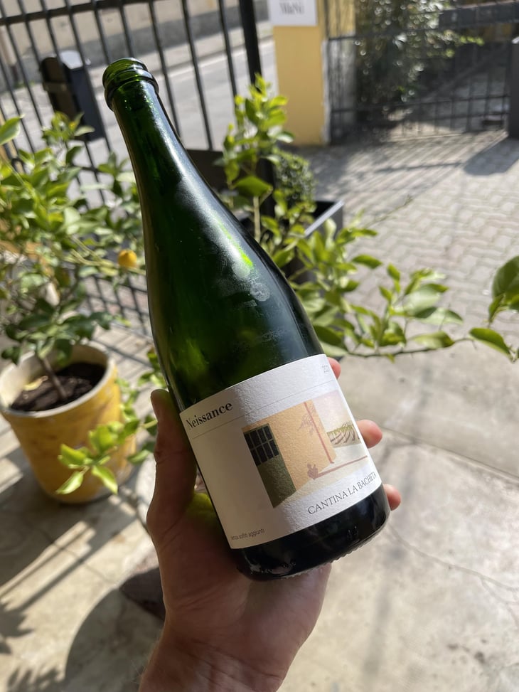 Neissance - Cantina la Bacheta - Giorgia Quintarelli, Simone Gradizzi 