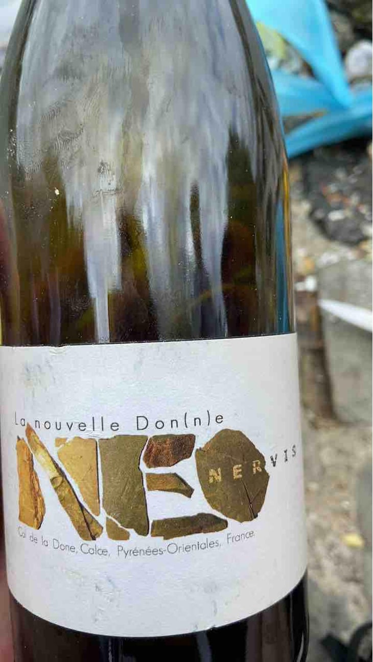 Neo Nervis - La Nouvelle Don(n)e - Wilfried Valat 