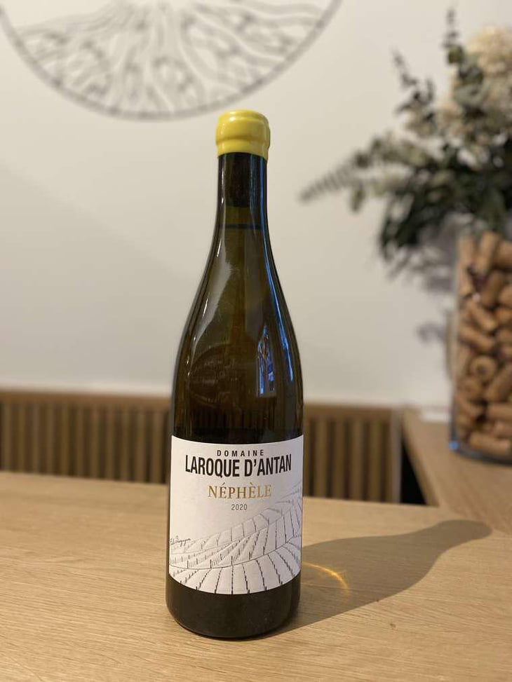Néphèle - Domaine de Laroque d’Antan - Lydia, Claude & Emmanuel Bourguignon 