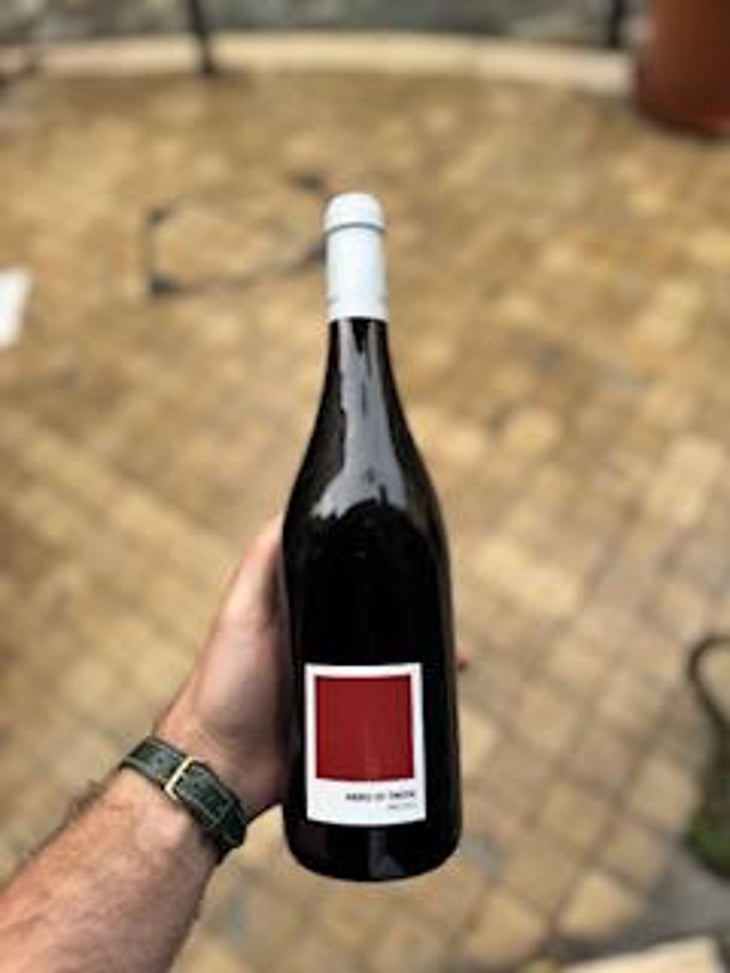 Nero di Troia - Tenuta Demaio - Antonio Demaio -2020
