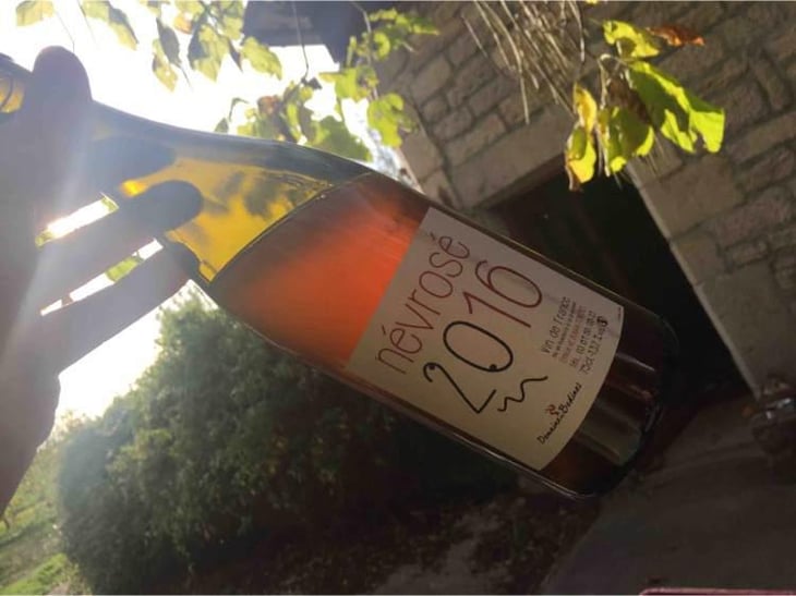 Névrosé - Domaine des Bodines - Emilie & Alexis Porteret 