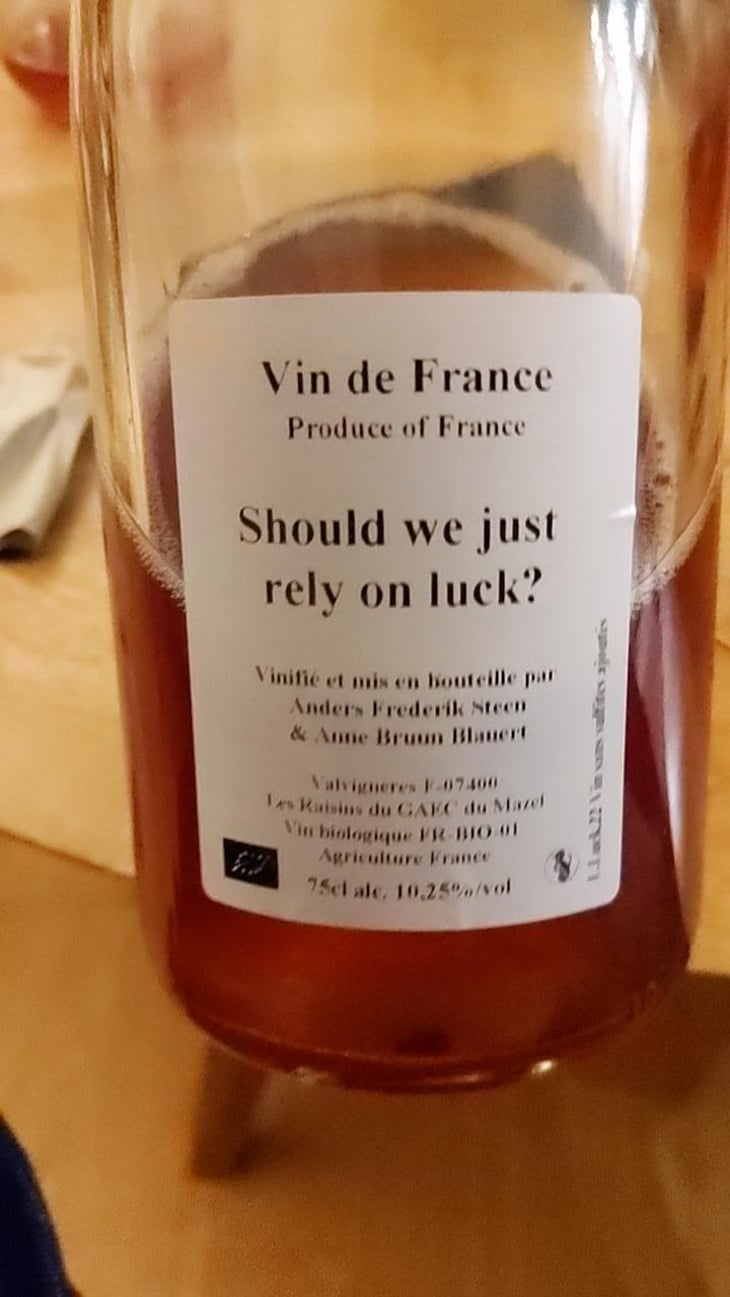 Should we just rely on luck? - Anders Frederik Steen & Anne Bruun Blauert - Anders Frederik Steen & Anne Bruun Blauert 