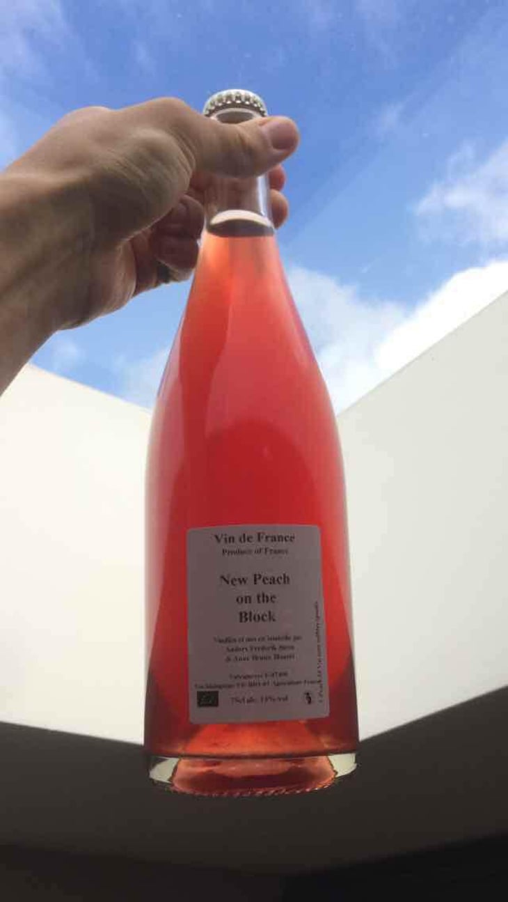 New Peach on the Block - Anders Frederik Steen & Anne Bruun Blauert - Anders Frederik Steen & Anne Bruun Blauert 