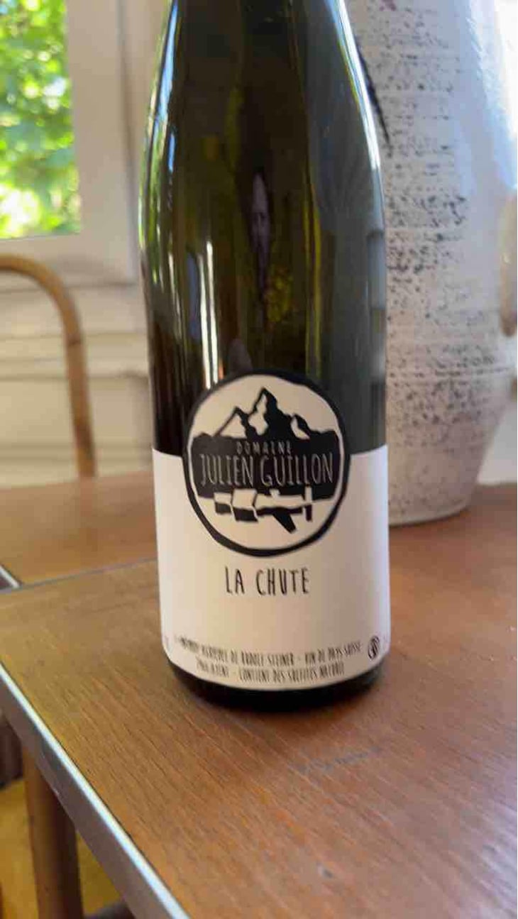 Ni Blanc Ni Rouge 2019 - Domaine Julien Guillon - Julien Guillon 