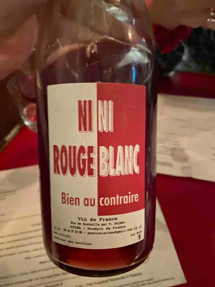 Ni Rouge Ni Blanc Bien Au Contraire - Delmée Martin - Philippe Delmée & Aurélien Martin 