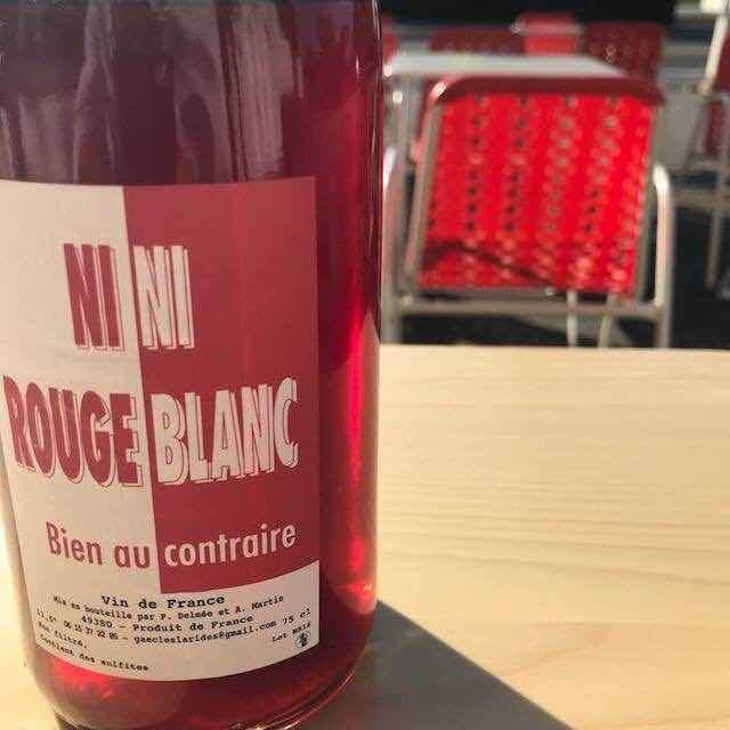Ni Rouge Ni Blanc Bien Au Contraire - Delmée Martin - Philippe Delmée & Aurélien Martin 