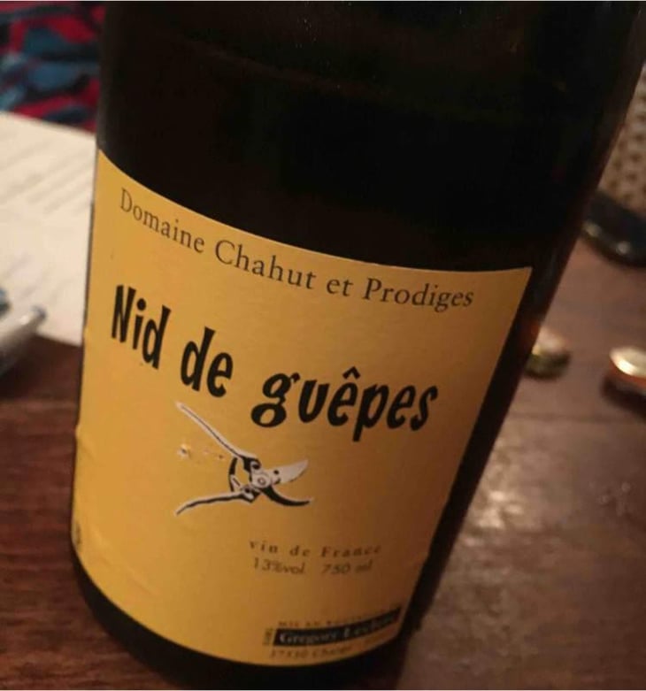Nid de Guêpes - Chahut et Prodiges - Gregory Leclerc 