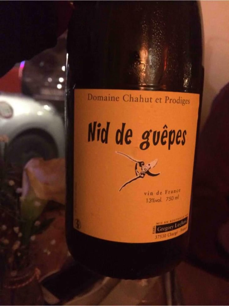 Nid de Guêpes - Chahut et Prodiges - Gregory Leclerc 