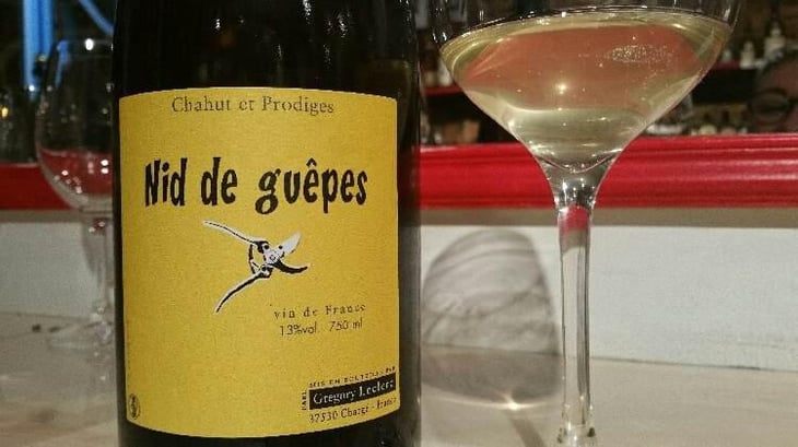 Nid de Guêpes - Chahut et Prodiges - Gregory Leclerc 