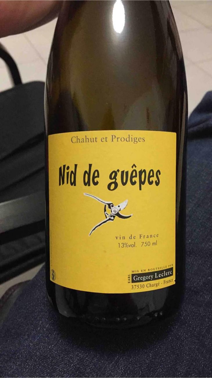 Nid de Guêpes - Chahut et Prodiges - Gregory Leclerc 