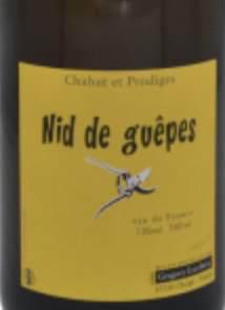 Nid de Guêpes - Chahut et Prodiges - Gregory Leclerc 