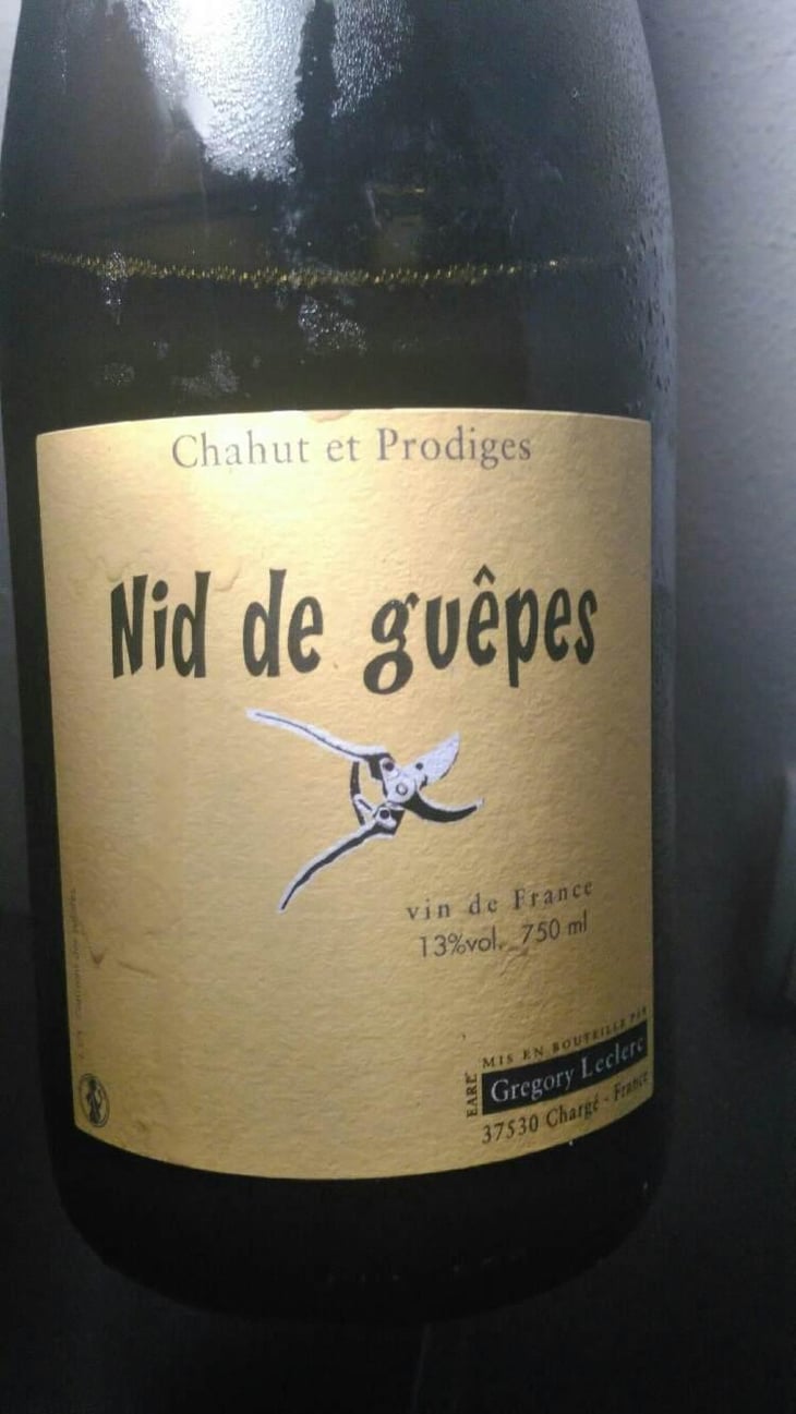 Nid de Guêpes - Chahut et Prodiges - Gregory Leclerc 