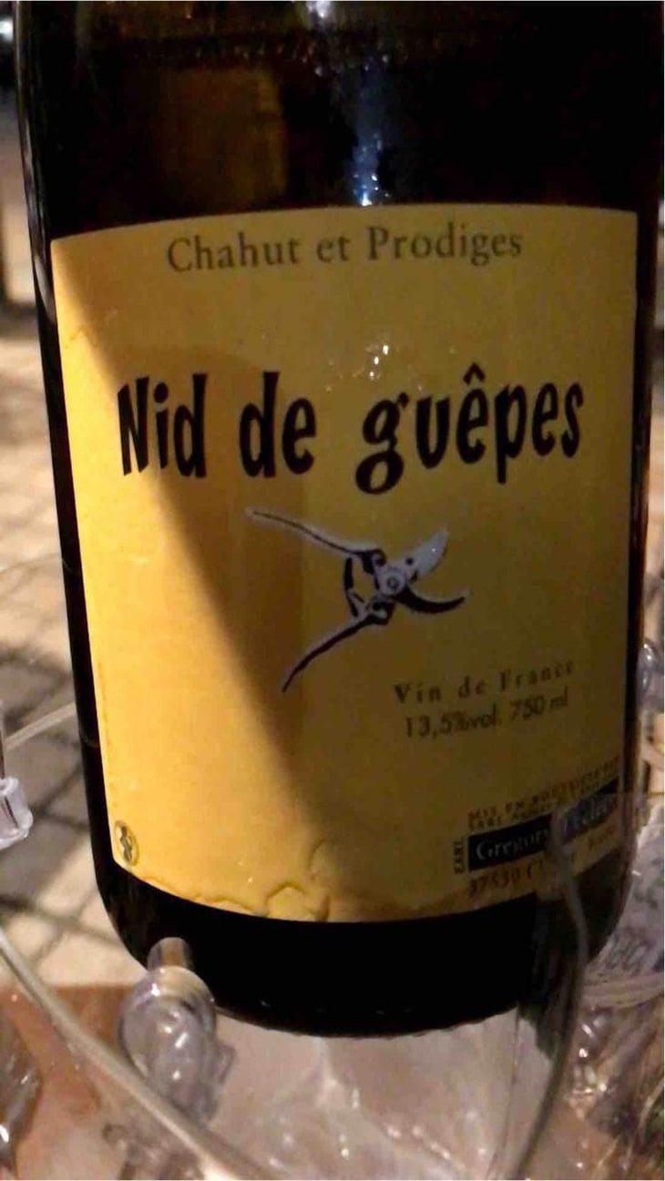Nid de Guêpes - Chahut et Prodiges - Gregory Leclerc 