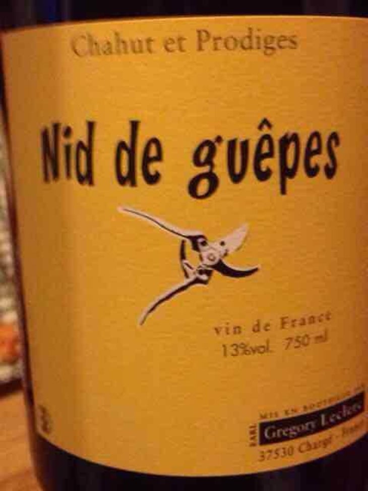 Nid de Guêpes - Chahut et Prodiges - Gregory Leclerc 