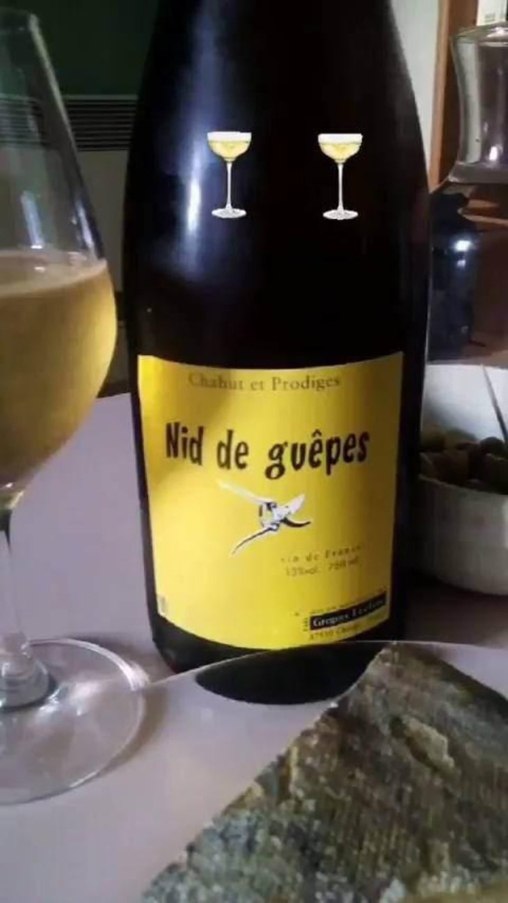 Nid de Guêpes - Chahut et Prodiges - Gregory Leclerc 
