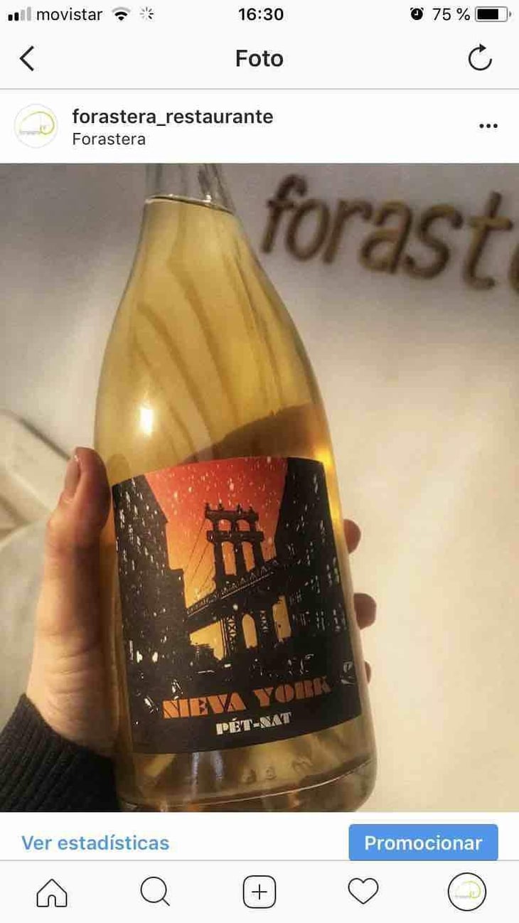 Nieva York - MicroBioWines - Ismael Gozalo 