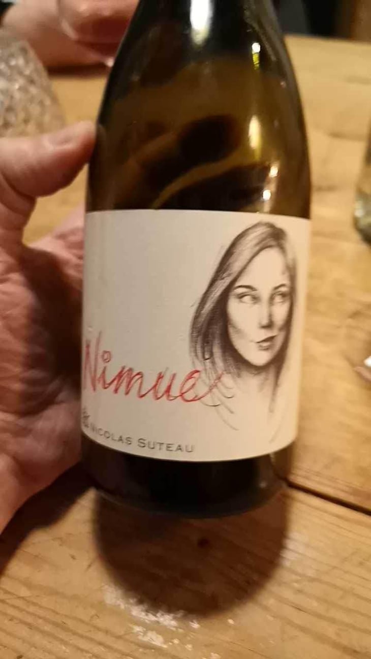 Nimue - Nicolas Suteau - Nicolas Suteau 