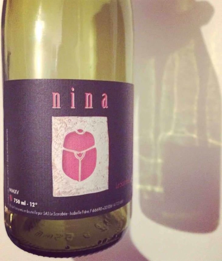 Nina - Le Scarabée - Isabelle Frère 