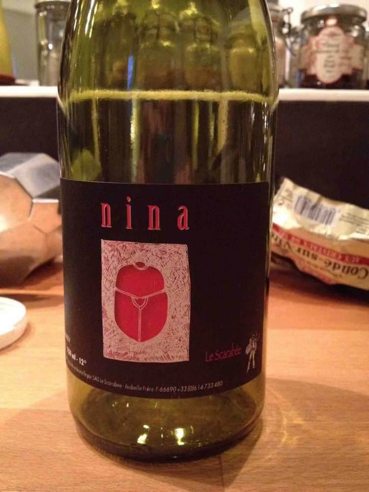 Nina - Le Scarabée - Isabelle Frère 