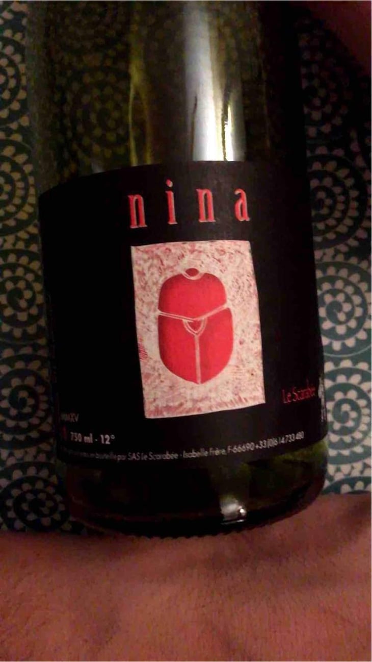 Nina - Le Scarabée - Isabelle Frère 