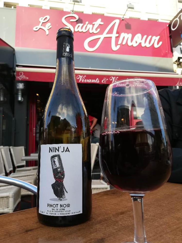 Nin’ja - Domaine de la Tourlaudière - Romain Petiteau 