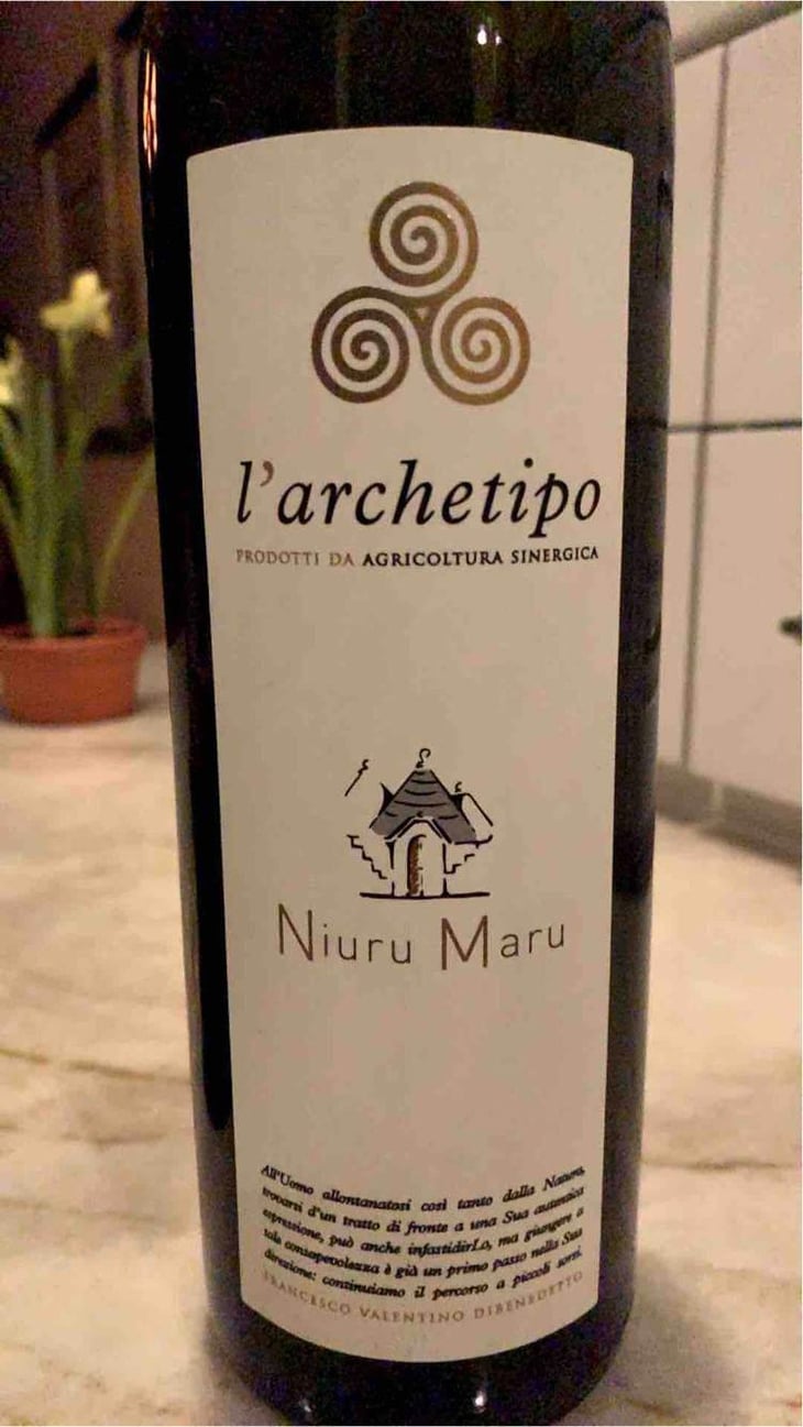 Niuru Maru - L'Archetipo - Francesco Valentino Di Benedetto 