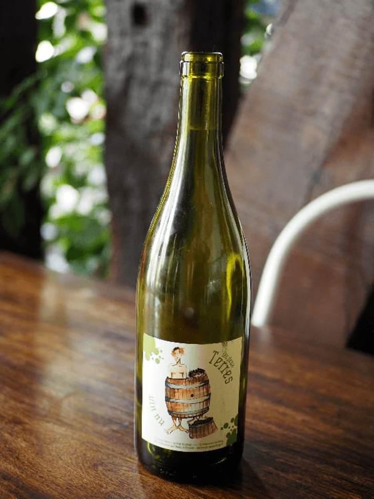 Vin Nu Blanc - Les Deux Terres - Vincent Fargier & Emmanuel Cunin 