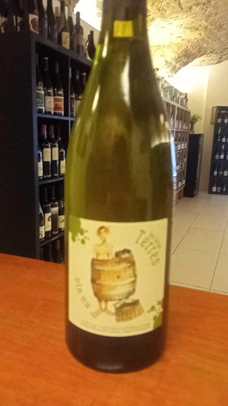 Vin Nu Blanc - Les Deux Terres - Vincent Fargier & Emmanuel Cunin 