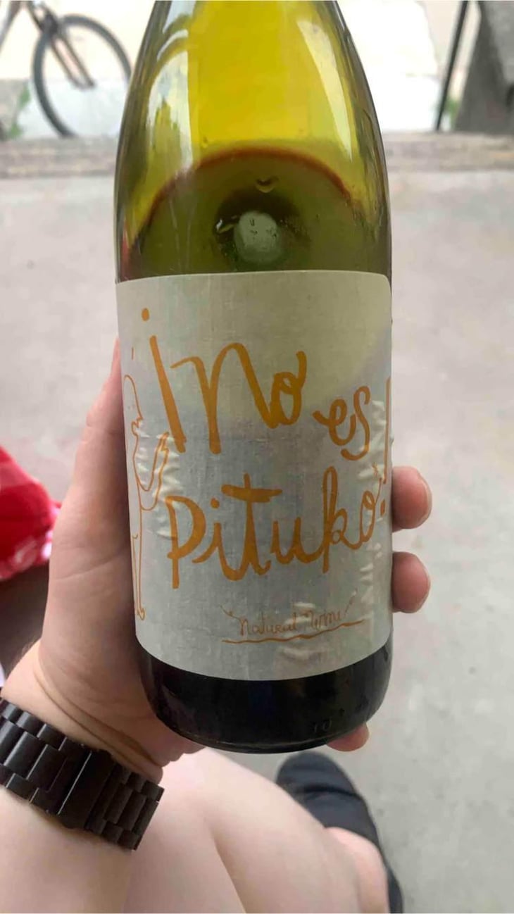No Es Pituko Cabernet Franc - Viña Echeverría - Quasar Wines - Roberto, Viviana, Paulina & Diego Echeverría 