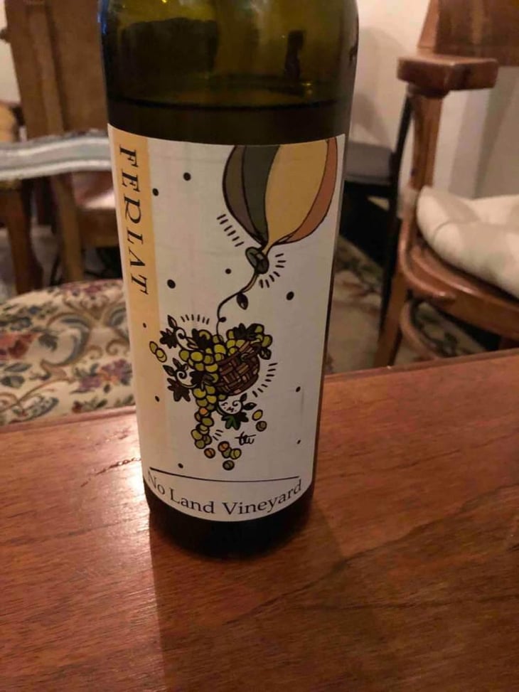 No Land Vineyard - Società Agricola Silvano Ferlat - Moreno Ferlat 