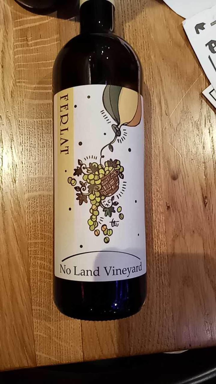 No Land Vineyard - Società Agricola Silvano Ferlat - Moreno Ferlat 