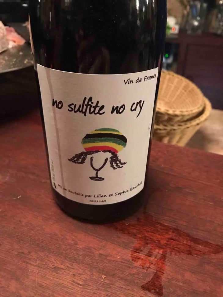 No Sulfite No Cry - Lilian & Sophie Bauchet - Lilian & Sophie Bauchet 