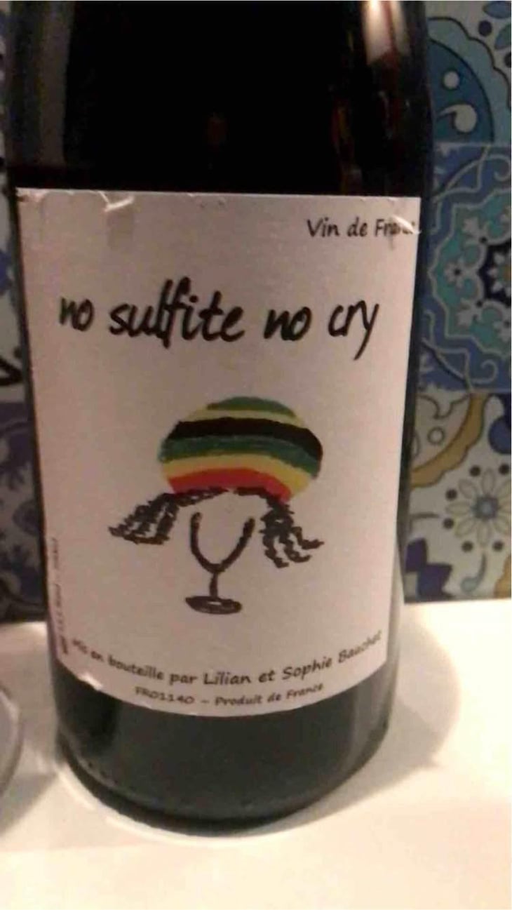 No Sulfite No Cry - Lilian & Sophie Bauchet - Lilian & Sophie Bauchet 