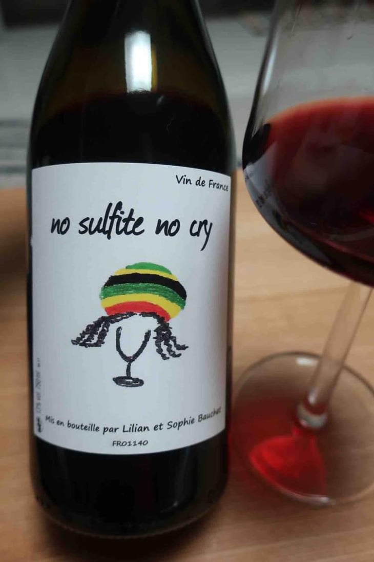 No Sulfite No Cry - Lilian & Sophie Bauchet - Lilian & Sophie Bauchet 
