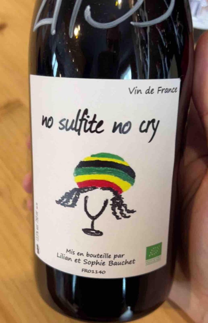 No Sulfite No Cry - Lilian & Sophie Bauchet - Lilian & Sophie Bauchet 