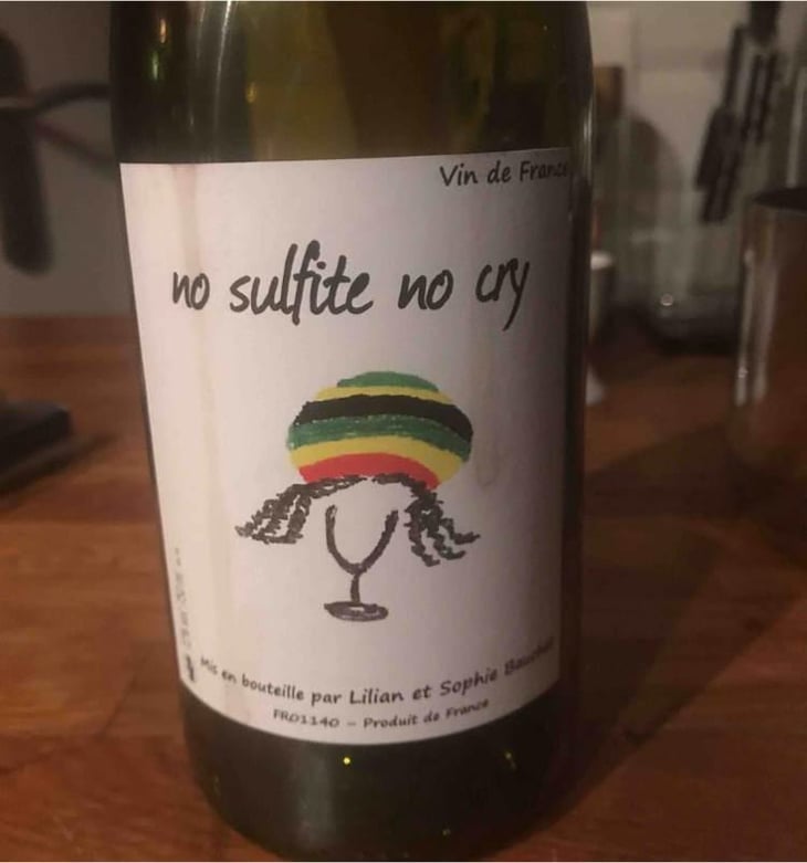 No Sulfite No Cry - Lilian & Sophie Bauchet - Lilian & Sophie Bauchet 