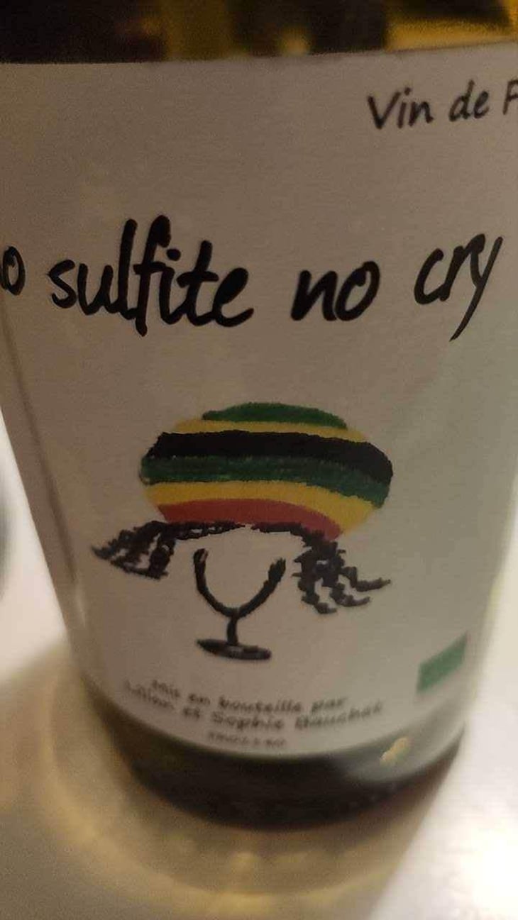 No Sulfite No Cry - Lilian & Sophie Bauchet - Lilian & Sophie Bauchet 