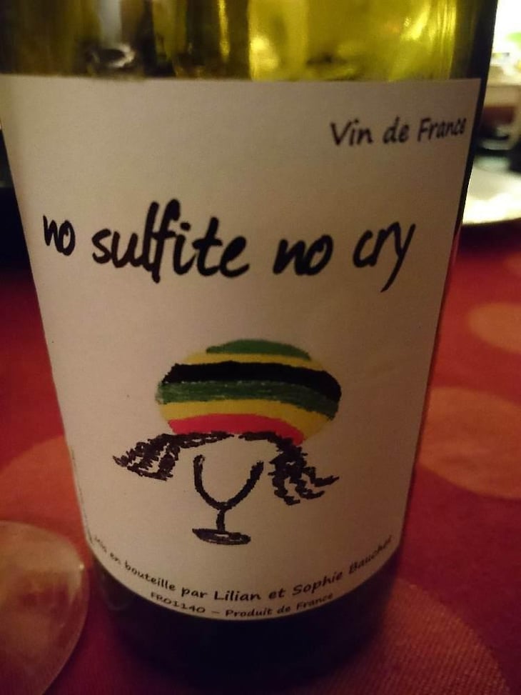 No Sulfite No Cry - Lilian & Sophie Bauchet - Lilian & Sophie Bauchet 