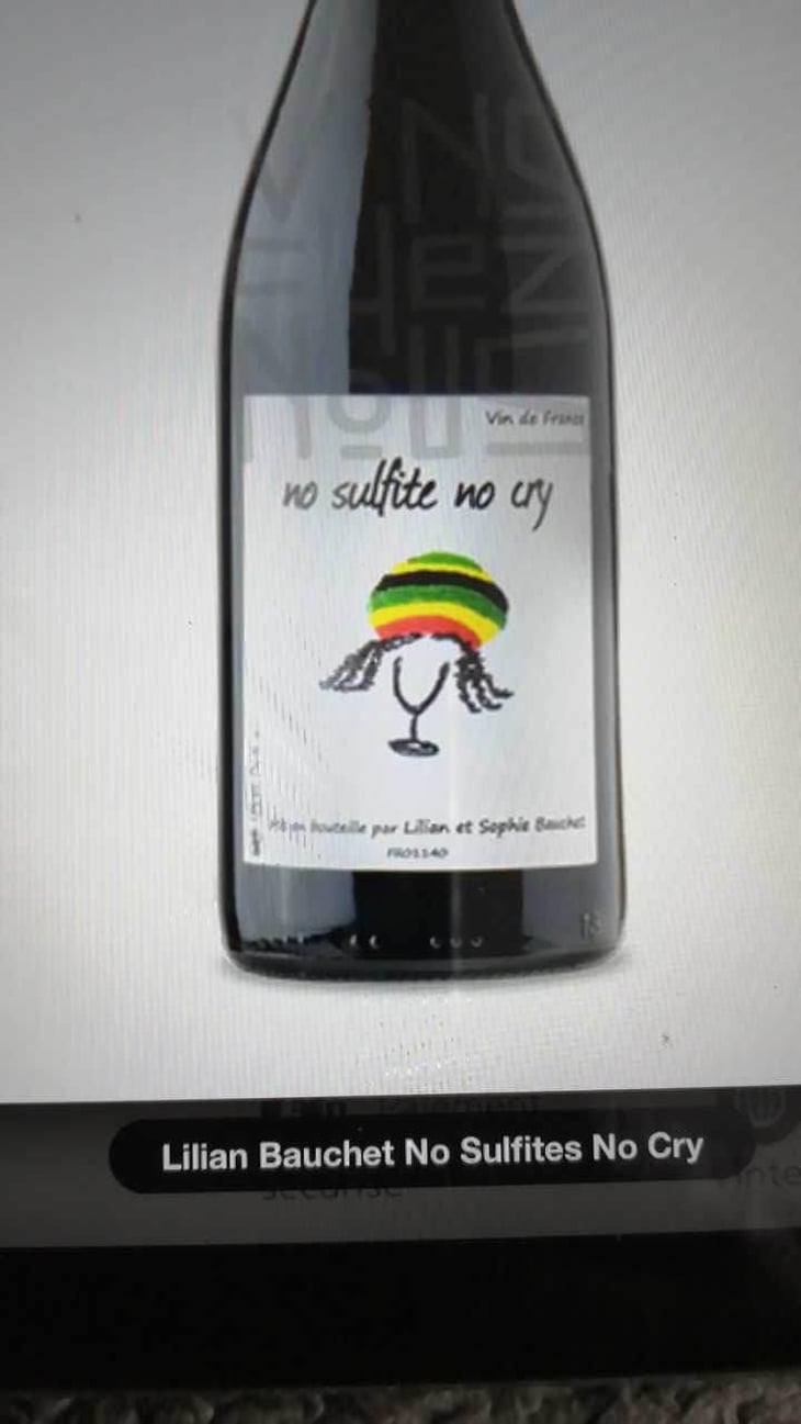 No Sulfite No Cry - Lilian & Sophie Bauchet - Lilian & Sophie Bauchet 
