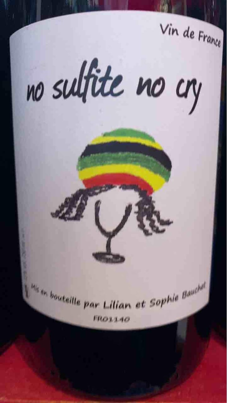 No Sulfite No Cry - Lilian & Sophie Bauchet - Lilian & Sophie Bauchet 