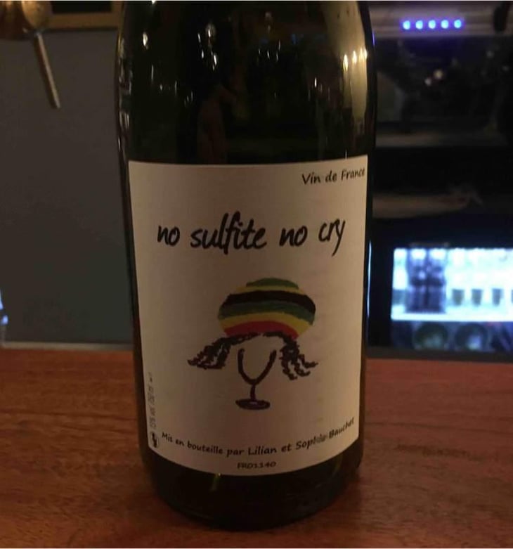 No Sulfite No Cry - Lilian & Sophie Bauchet - Lilian & Sophie Bauchet 