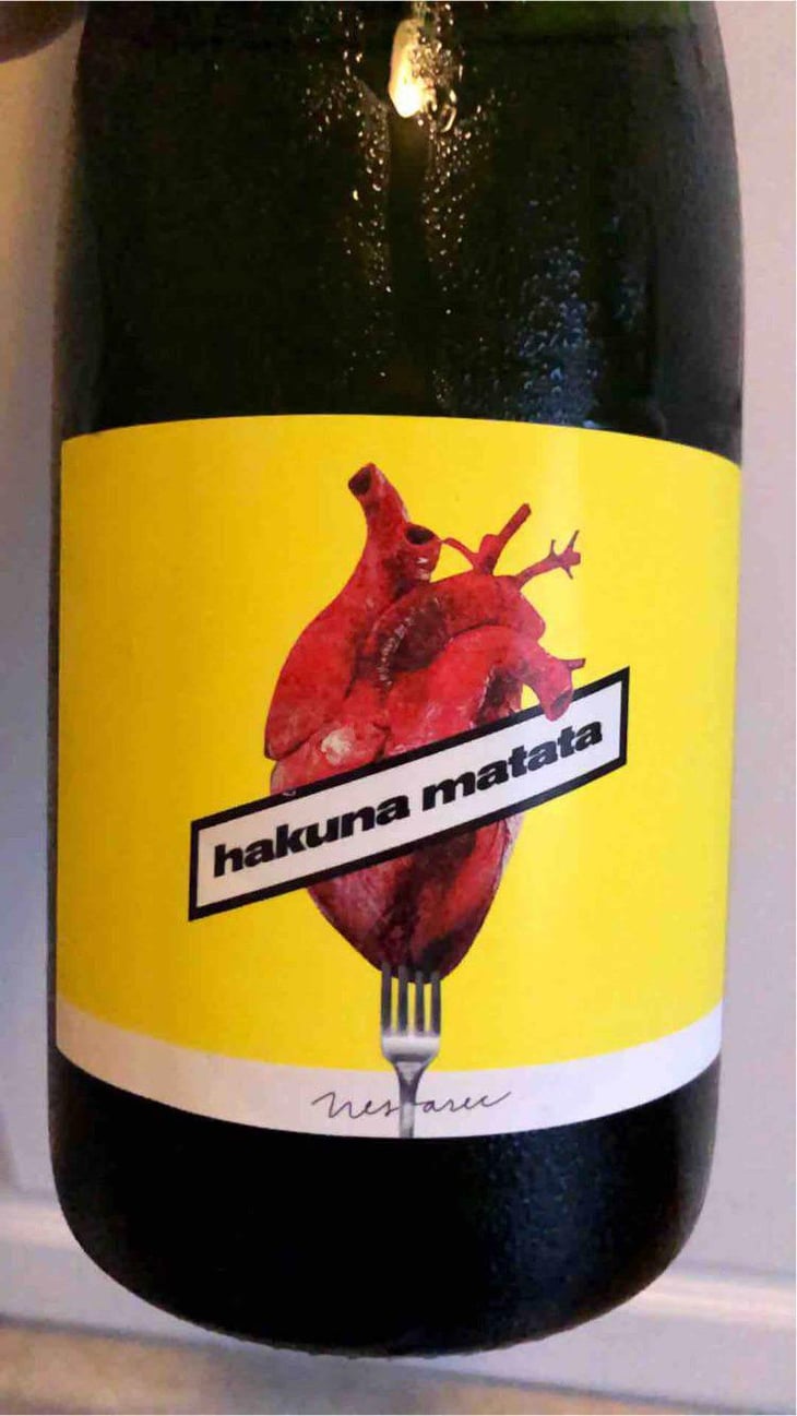 Hakuna Matata - Milan Nestarec - Milan Nestarec 