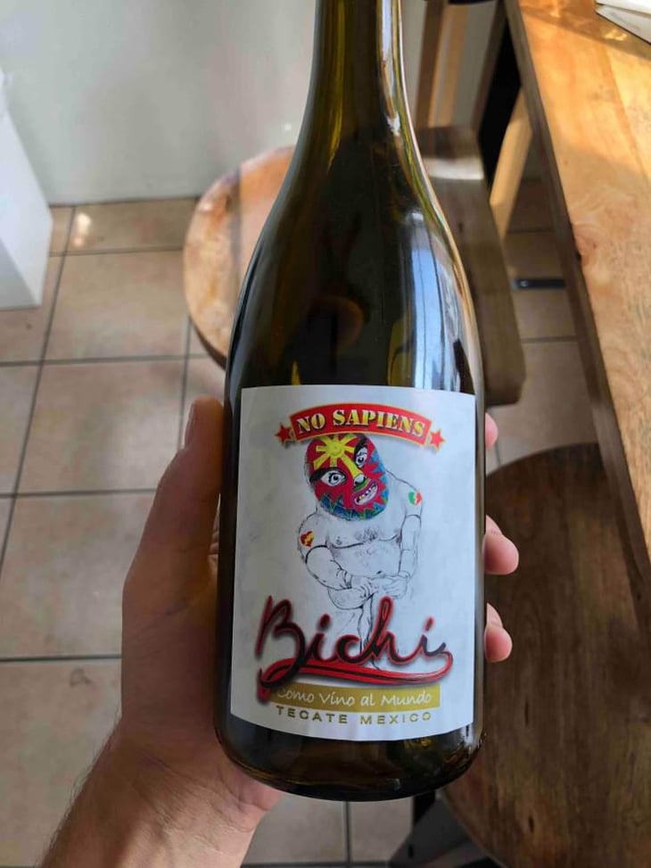 No Sapiens - Bichi Wines - Noel Tellez 